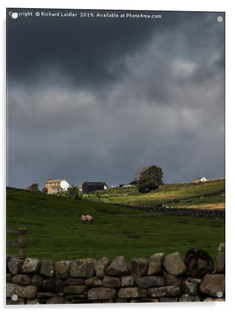 Sunlit Farm, Stormy Sky 2 Acrylic by Richard Laidler