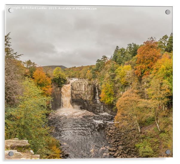 High Force Waterfall, Teesdale, in Autumn Acrylic by Richard Laidler