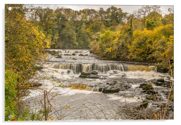 Autumn at Aysgarth Upper Falls, Yorkshire Dales Acrylic by Richard Laidler