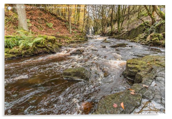 Bow Lee Beck and Summerhill Force in Autumn 2 Acrylic by Richard Laidler