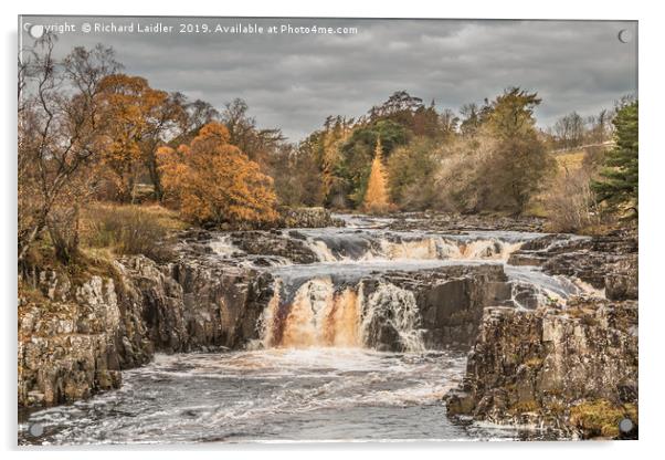 Autumn Colours at Low Force Waterfall, Teesdale Acrylic by Richard Laidler