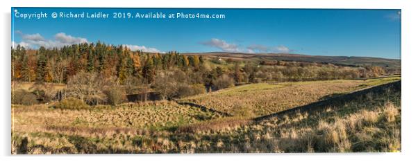 Upper Teesdale Panorama, Holwick Head to Newbiggin Acrylic by Richard Laidler