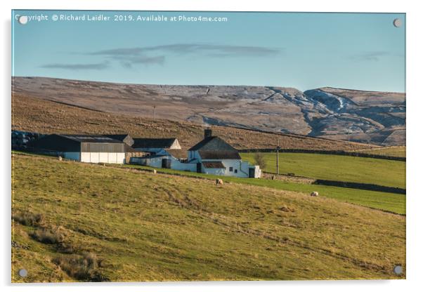 Ash Dub Farm, Upper Teesdale Acrylic by Richard Laidler