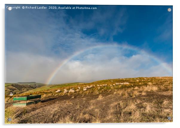 Ettersgill Rainbow 3 Acrylic by Richard Laidler