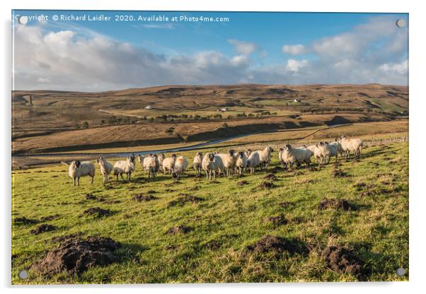 Winter Sun, Harwood, Upper Teesdale Acrylic by Richard Laidler