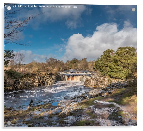 Winter Sunshine at Low Force, Teesdale Acrylic by Richard Laidler