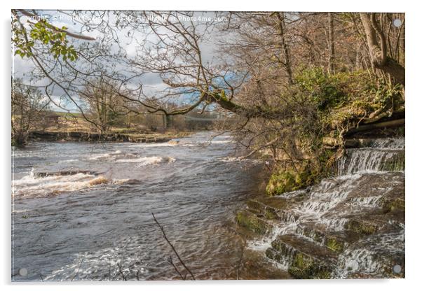 Wholton Beck meets the River Tees Acrylic by Richard Laidler