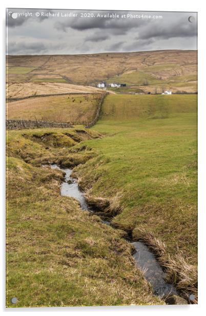 Harwood, Upper Teesdale Acrylic by Richard Laidler