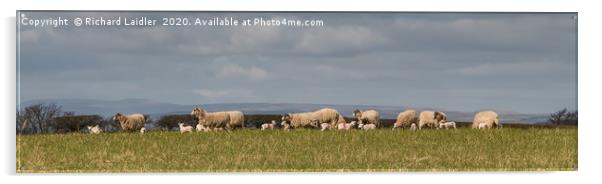 Lamborama Panorama Acrylic by Richard Laidler