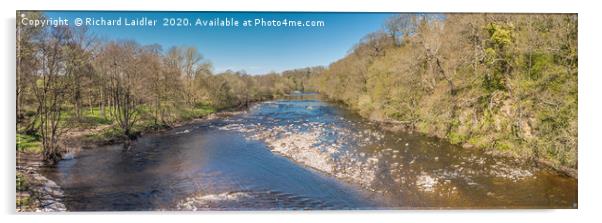 The River Tees at Whorlton Spring Panorama Acrylic by Richard Laidler