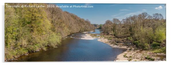 The River Tees at Downstream at Whorlton in Spring Acrylic by Richard Laidler
