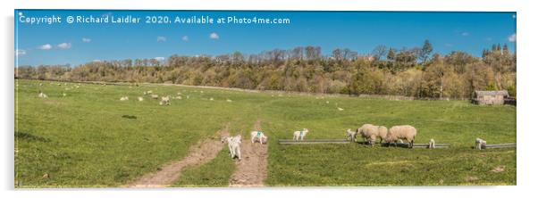 Whorlton Spring Panorama Acrylic by Richard Laidler