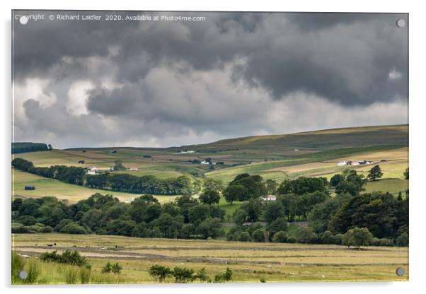 Across to Ettersgill from Holwick, Upper Teesdale Acrylic by Richard Laidler