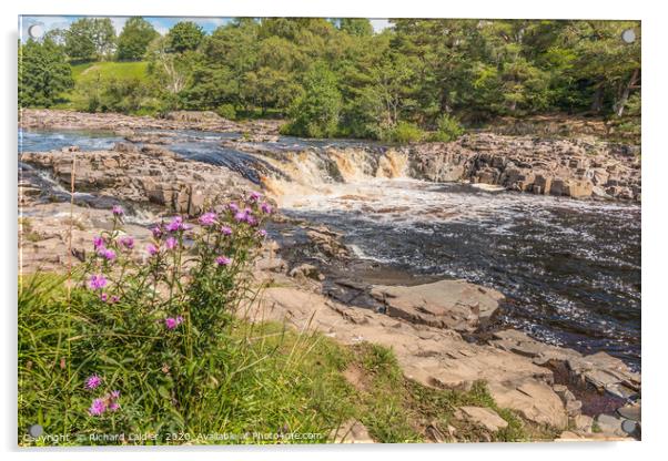 Low Force Waterfall, Teesdale in Summer (2) Acrylic by Richard Laidler