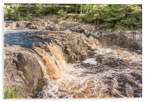 Low Force Waterfall, Teesdale in Summer (3) Acrylic by Richard Laidler