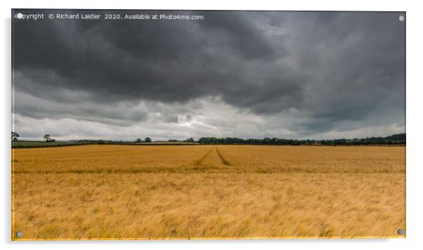 Storm Track Acrylic by Richard Laidler