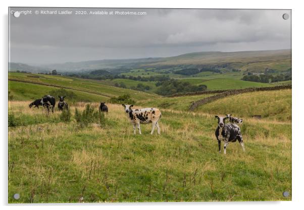 A Damp Day in Upper Teesdale Acrylic by Richard Laidler