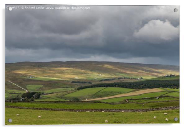 Harwood Teesdale, Sunshine and Shadows Acrylic by Richard Laidler