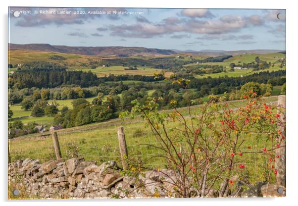 Upper Teesdale from Miry Lane in Early Autumn Acrylic by Richard Laidler