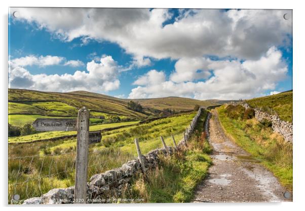 The Pennine Way down from Great Shunner Fell Acrylic by Richard Laidler