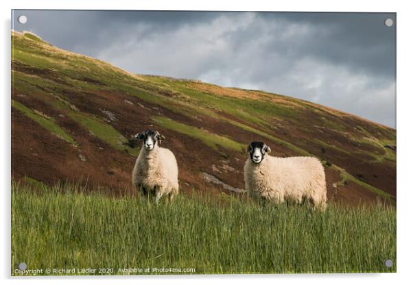 Swaledales and Kisdon Hill Acrylic by Richard Laidler