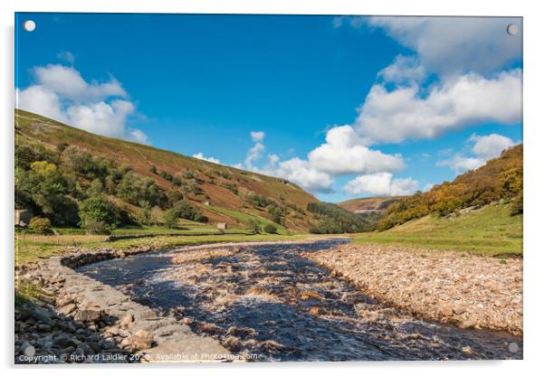 The Swale at Muker, Swaledale Acrylic by Richard Laidler