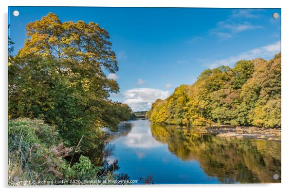 Autumn Reflections at Wycliffe Teesdale Acrylic by Richard Laidler