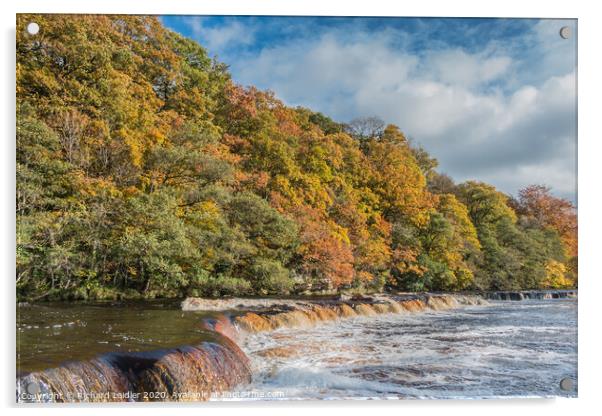 Autumn on the River Tees at Whorlton, Teesdale Acrylic by Richard Laidler