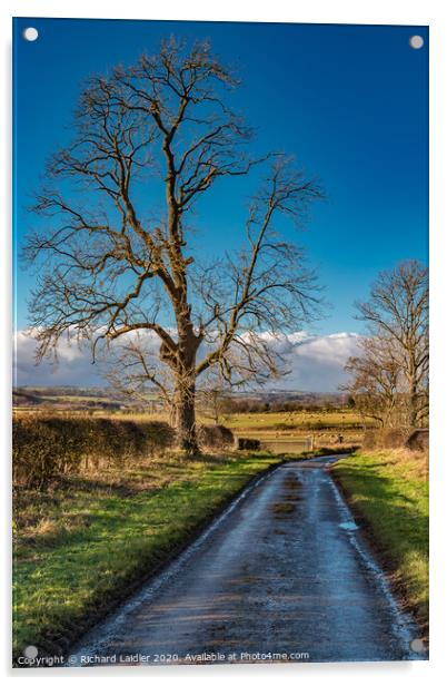 Lane to Van Farm in Winter Sunshine Acrylic by Richard Laidler