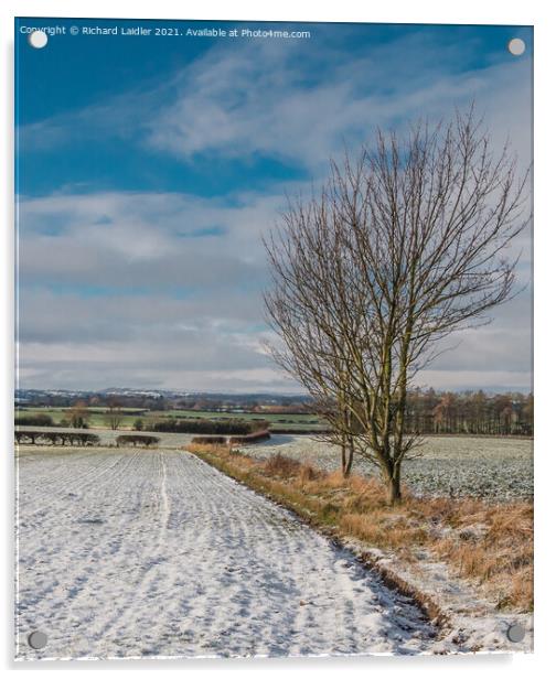 Winter Farmland, Lower Teesdale Acrylic by Richard Laidler
