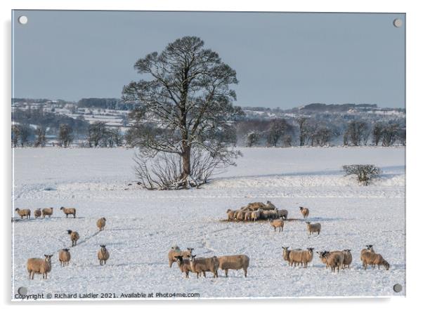 Winter at Hutton Hall Farm Jan 2021 (1) Acrylic by Richard Laidler