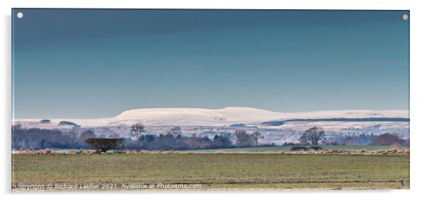 Snowy Cross Fell from Hutton Hall Farm, Teesdale Acrylic by Richard Laidler