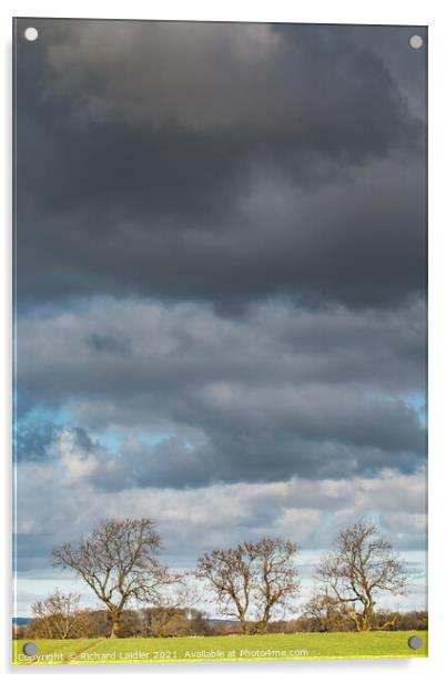 Bare Ash Trees under a Big Winter Sky Acrylic by Richard Laidler