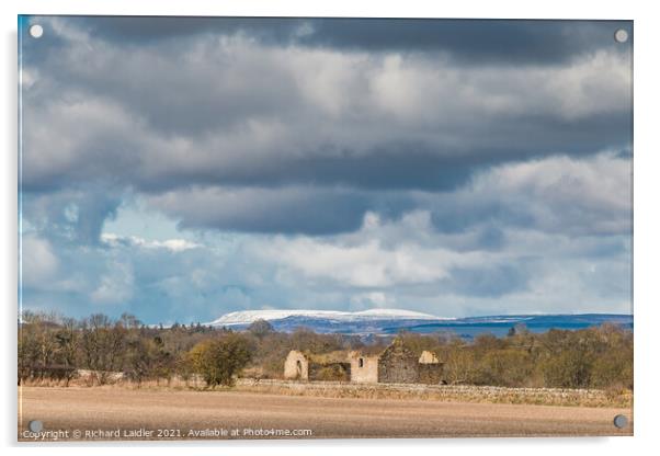 Cross Fell from Thorpe, Teesdale Acrylic by Richard Laidler