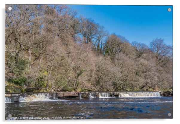 Whorlton Cascades in Spring Sunshine Acrylic by Richard Laidler