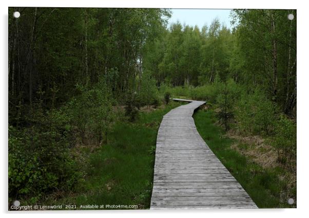 Wooden path leading through a forest Acrylic by Lensw0rld 