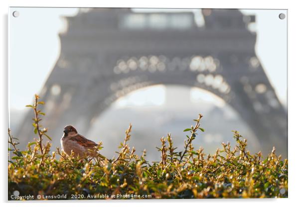 Paris Morning Vibes Acrylic by Lensw0rld 