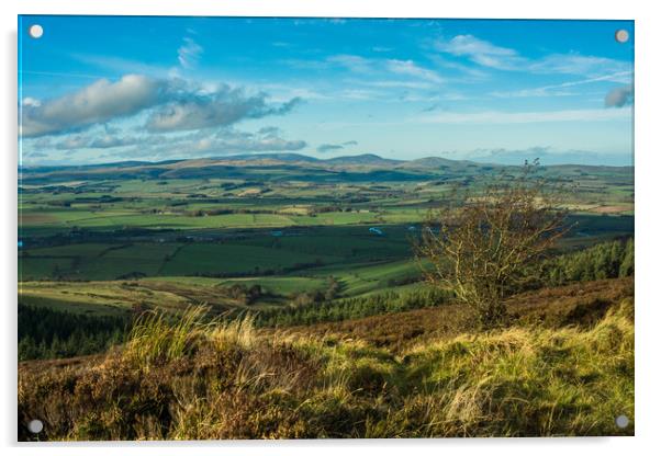 The Coquet valley Acrylic by David Wilson