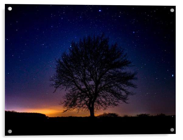 The Night Tree Acrylic by David Wilson