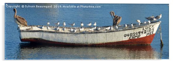 Bird taking over fisherman's boat, panorama 3:1 Acrylic by Sylvain Beauregard