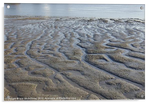 Mud Flats Acrylic by Iain McGillivray