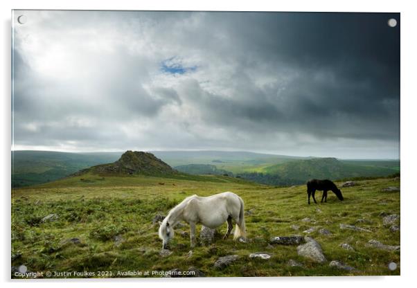 Dartmoor Ponies, Devon Acrylic by Justin Foulkes