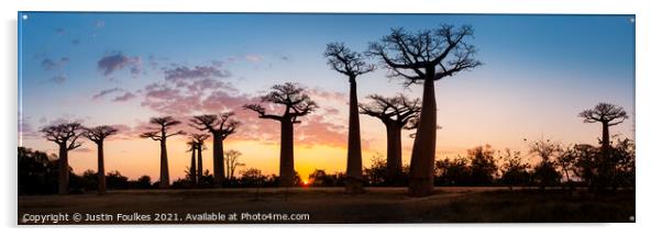 Avenue of the Baobabs at sunset, Madagascar  Acrylic by Justin Foulkes