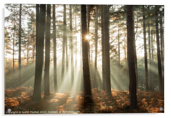 Forest sunbeams  Acrylic by Justin Foulkes