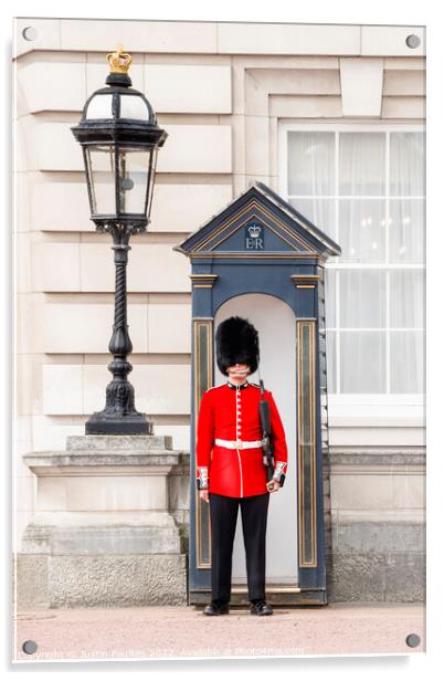 Queens Guard, Buckingham Palace, London Acrylic by Justin Foulkes