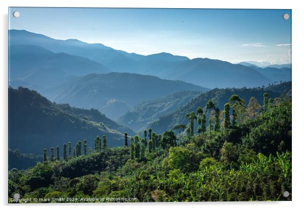 Tree lined ridge, Costa Rica Acrylic by mark Smith