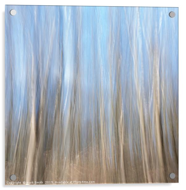 Silver  Birches Acrylic by mark Smith