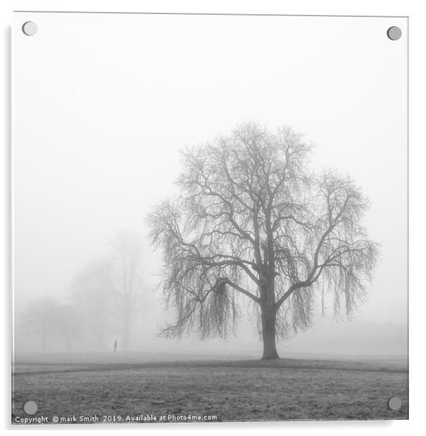 Trees In The Mist Acrylic by mark Smith