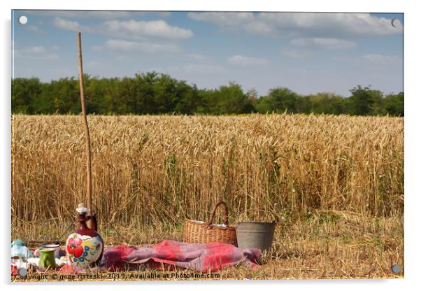 wheat field ready for harvest Acrylic by goce risteski