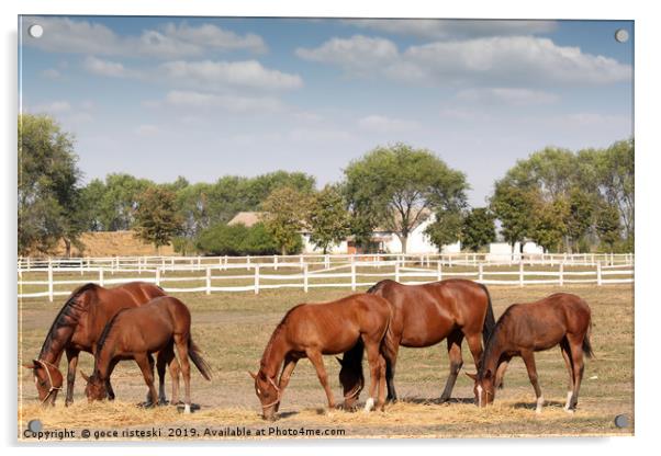 brown horses farm scene Acrylic by goce risteski